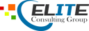 EliteIT Consulting Group icon