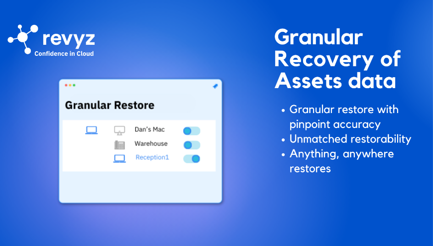 Instant granular restore