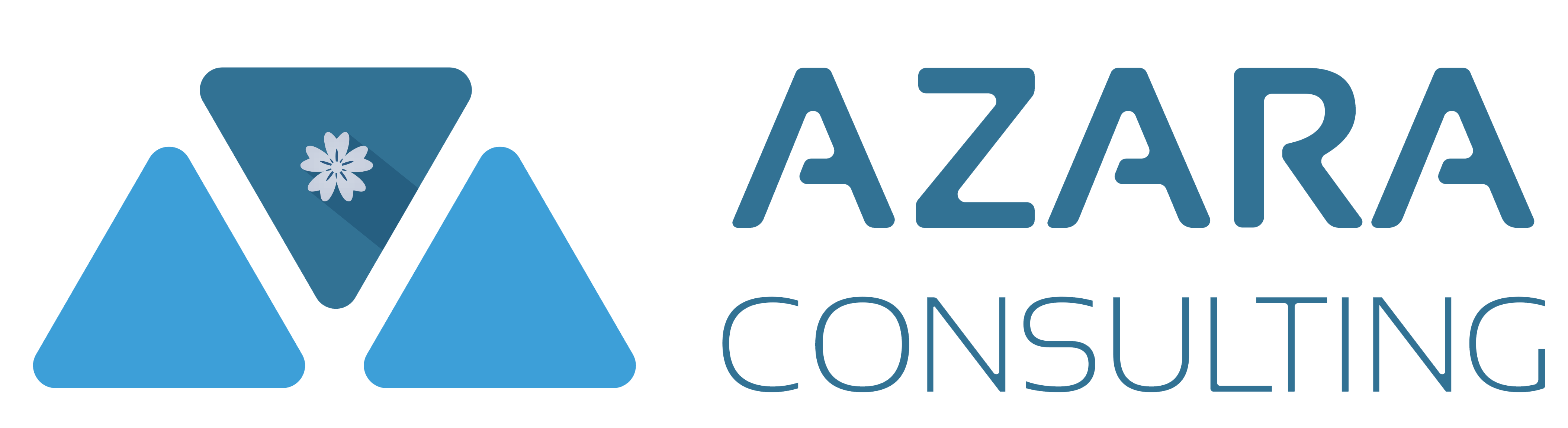 Azara Consulting icon