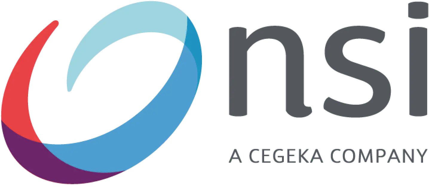 NSI icon